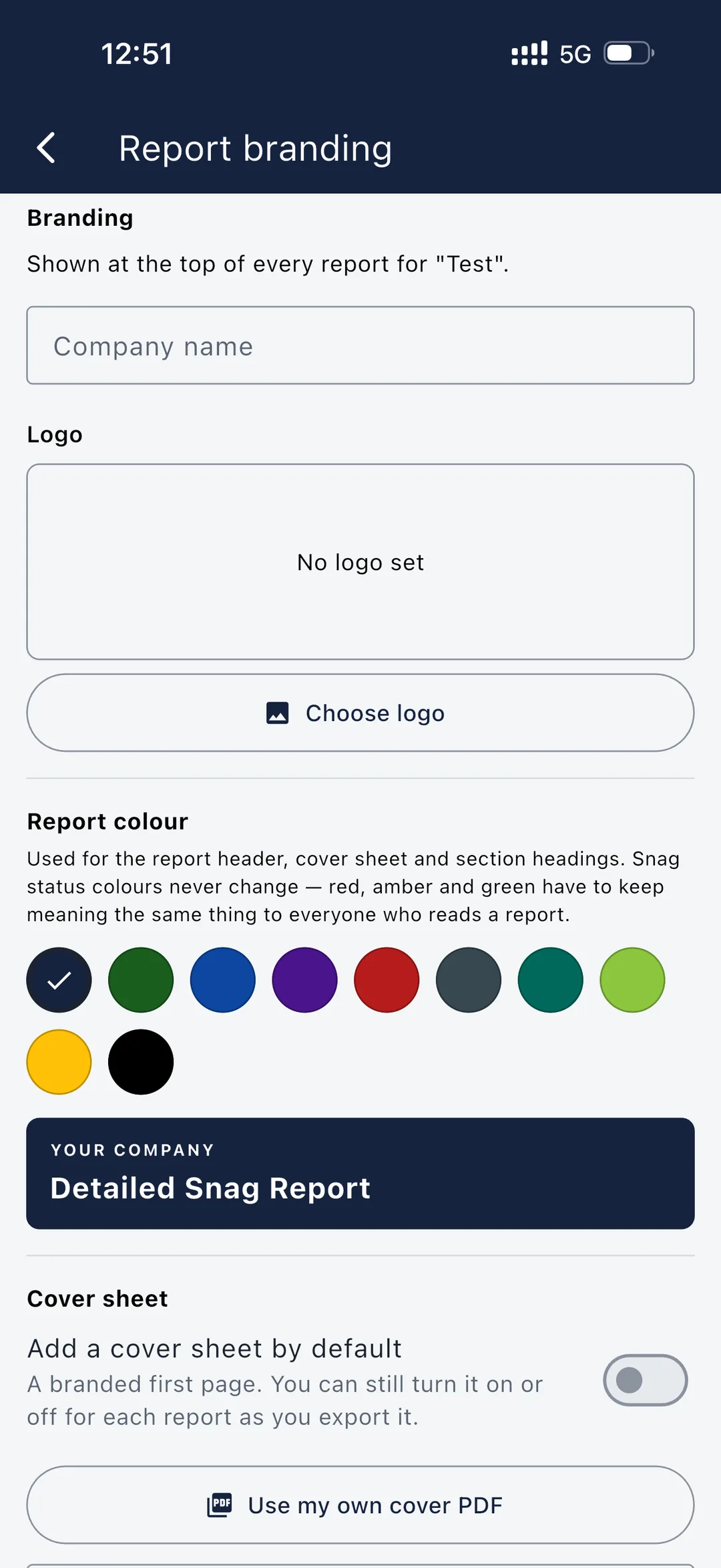 Snagga report branding screen — set company name, logo and report colour